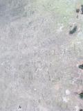 image of grave number 583797